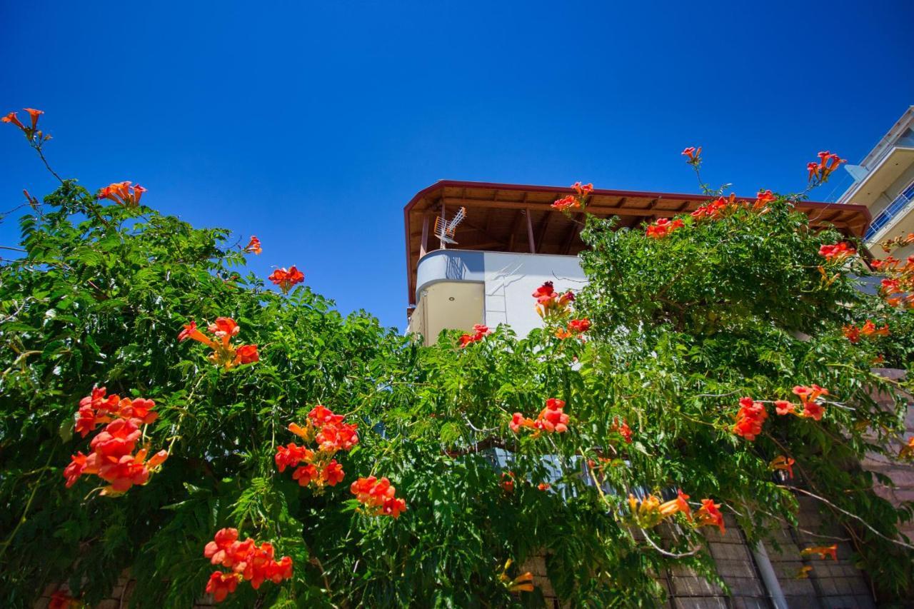 Villa Roel ซารานเดอ ภายนอก รูปภาพ